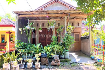 Jual Rumah Strategis di Tepi Jalan Raya Batujamus – Jambangan, Kedawung, Sragen