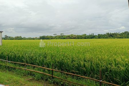 Jual Tanah Sawah Subur 1845m2 di Karangmalang dekat Sragen Kota