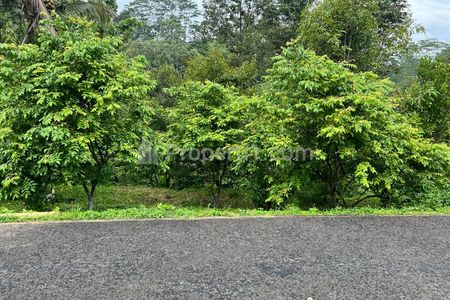 Dijual Tanah Kebun Durian Luas 1609m² di Ngargoyoso Karanganyar