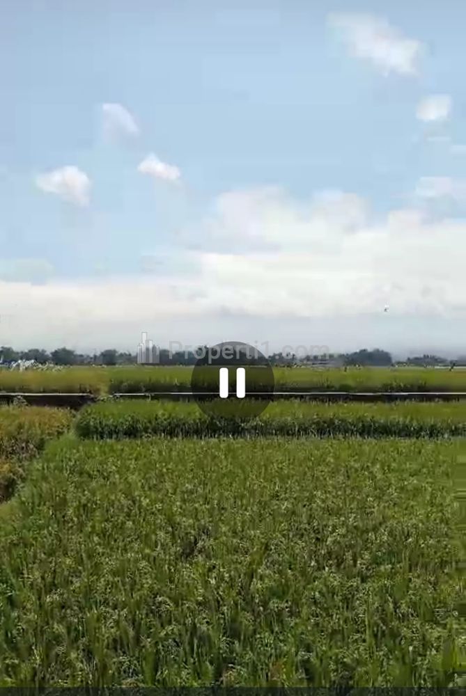 Dijual Tanah Pertanian Subur Luas 2.800 m2 di Bareng, Jombang, Jawa Timur