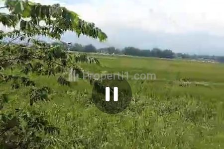 Dijual Tanah Sawah Pertanian 1 Hektar di Bareng, Jombang, Jawa Timur