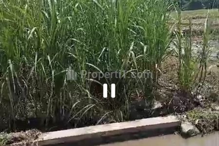 Jual Tanah Pertanian Sawah di Bareng, Jombang, Jawa Timur