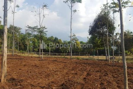 Jual Cepat Tanah Matang Luas Harga Murah di Daerah Berkembang Arjasari Banjaran Bandung