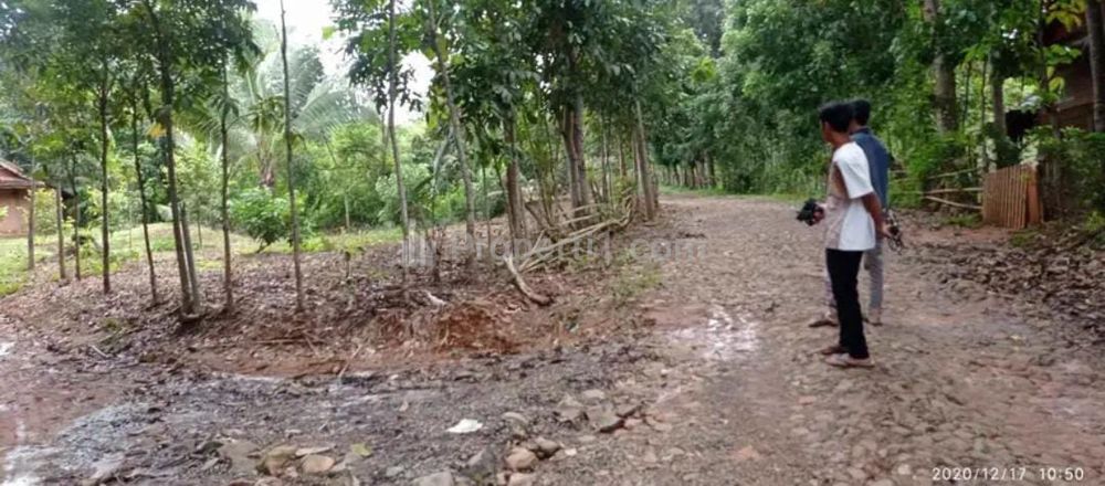 Jual Tanah Luas 2,3 Hektar Lokasi dekat Daerah Wisata Anyer Serang Banten