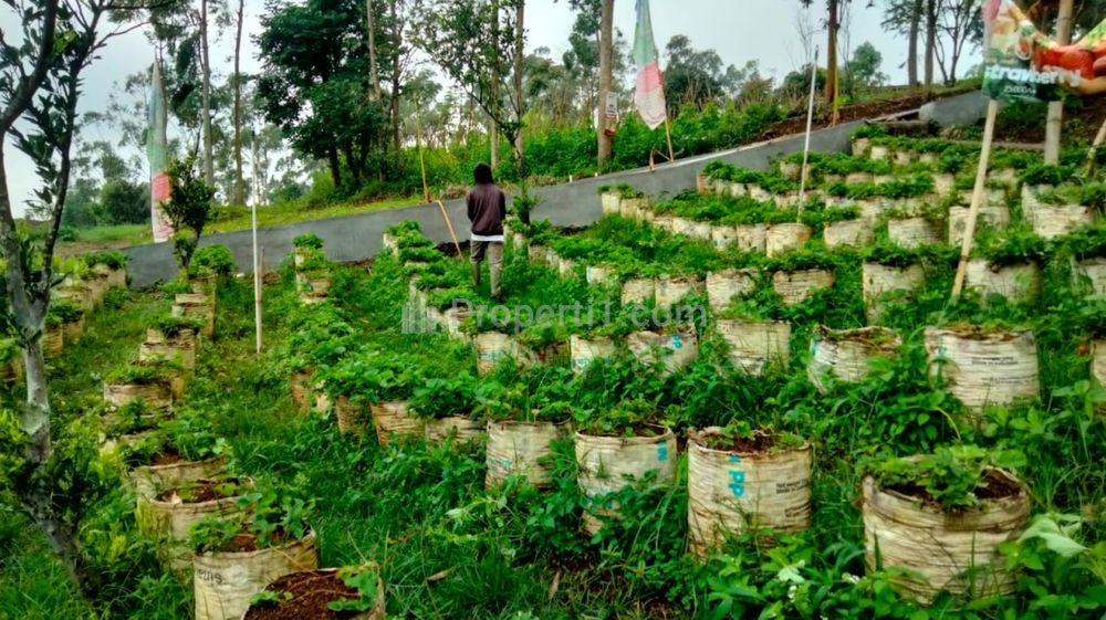 Dijual Tanah Kavling Murah di Ciwidey Kab Bandung