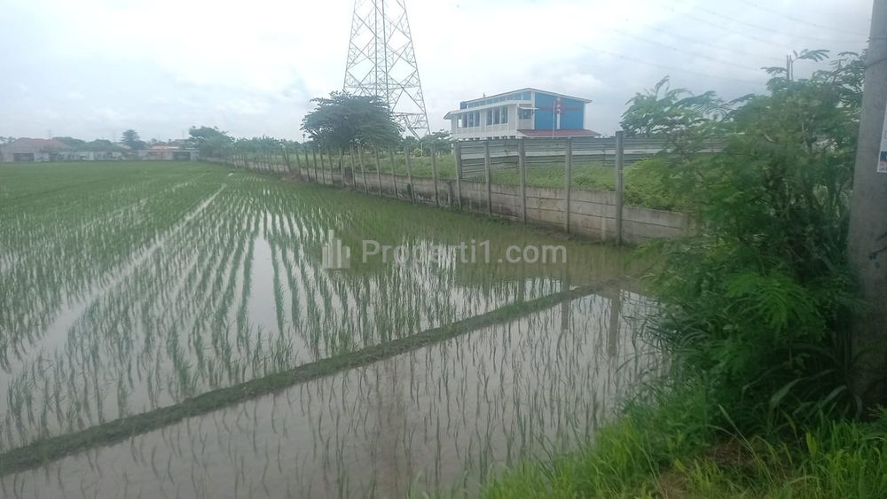 Dijual Tanah Sawah Pinggir Jalan Raya Kali CBL Bekasi - Cocok untuk Usaha