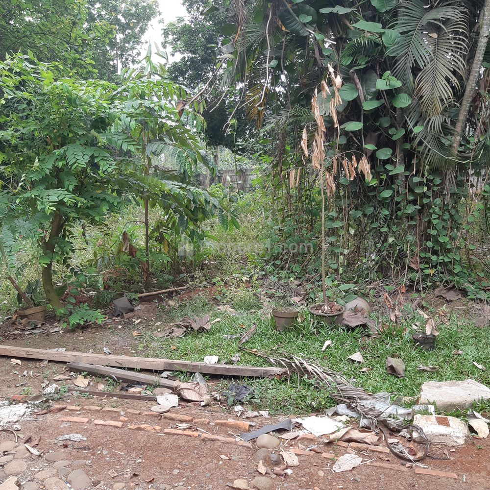 Dijual Tanah Datar di Kawasan yang Sangat Berkembang di Cisauk Tangerang