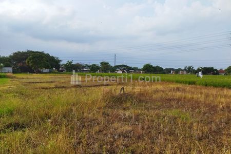 Jual Tanah Sawah SHM dekat Jalan Raya di Cempaka Talun Cirebon Luas 1477 m2 dan 193 m2