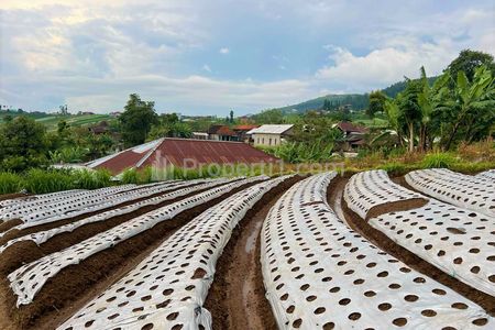 Dijual Tanah View Istimewa Luas 200 m2 di Kemuning Ngargoyoso Karanganyar Solo Jawa Tengah