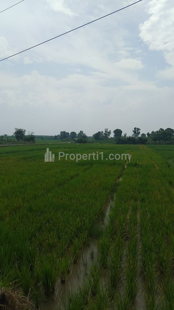 Dijual Tanah Industri Pinggir Jalan Raya Pabuaran Subang