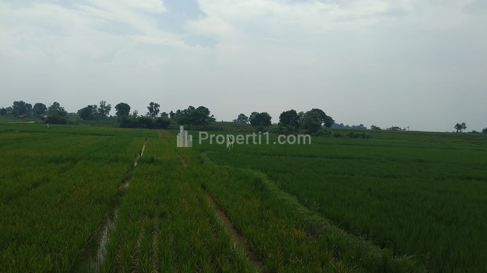 Dijual Tanah Industri Pinggir Jalan Raya Pabuaran Subang
