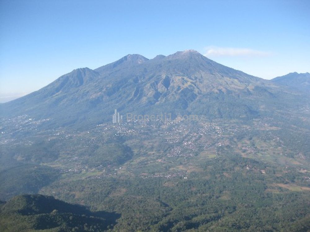 Dijual Lahan Luas 954 Ha di Lereng Gunung Arjuno, Dukuh Tampuono Desa Tambaksari, Purwodadi, Pasuruan - Pemilik Langsung
