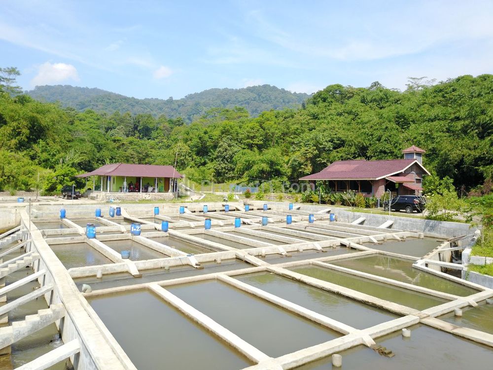 Jual Tanah Include Villa dan Bedeng 100 Kolam Ikan di Kabupaten Subang