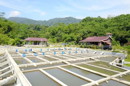 Jual Tanah Include Villa dan Bedeng 100 Kolam Ikan di Kabupaten Subang