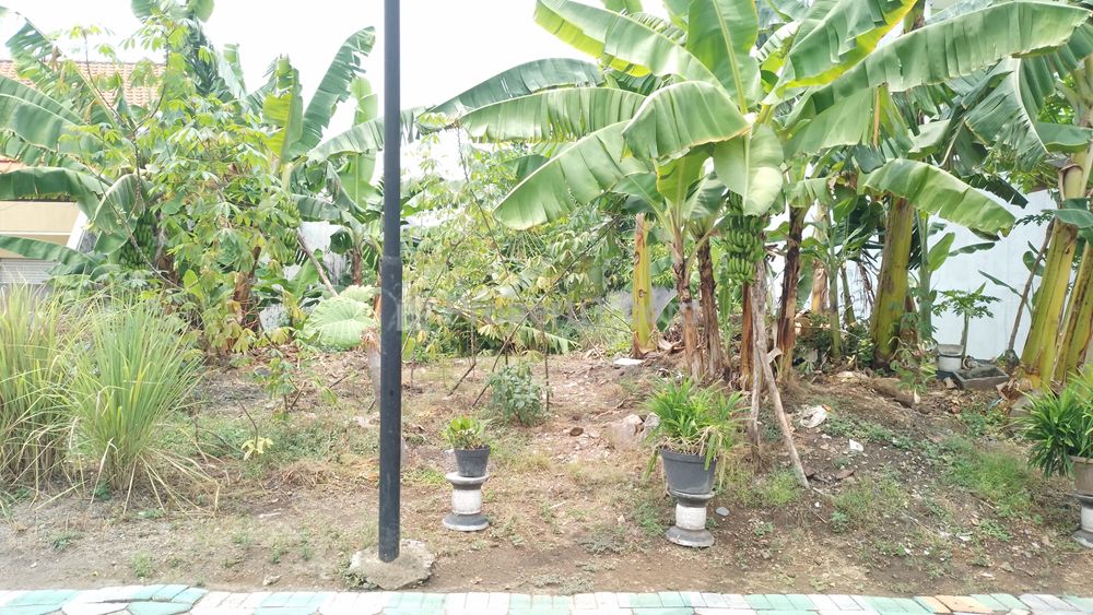 Jual Tanah Luas 420 m2 SHM di Gayungsari Mayangkara Surabaya