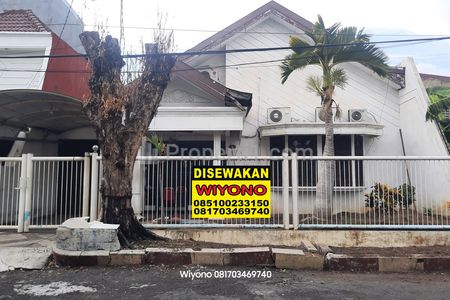 Disewakan Rumah Surabaya Timur di Dharmahusada Indah Row Jalan 3 mobil Cocok Buat Kantor dan Usaha Online Shop Parkiran Luas