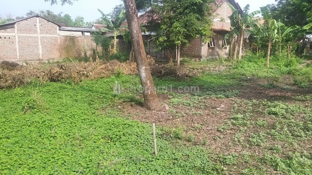 Dijual Tanah 295m² Lingkungan Bisnis di Sragen Kota