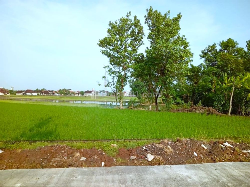 Jual Tanah Strategis Luas 1.280m2 di Masaran Sragen - Cocok Dibangun Pabrik atau Gudang
