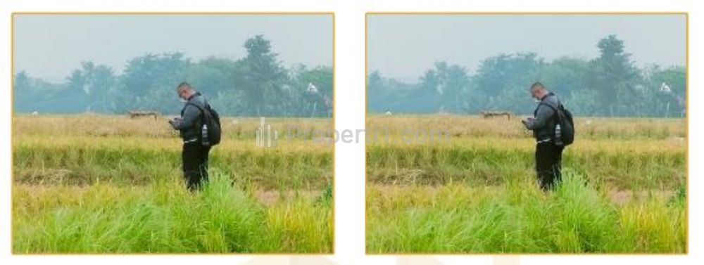 Jual Tanah ex Sawah Pinggir Jalan Lokasi Strategis di Cariu Bogor