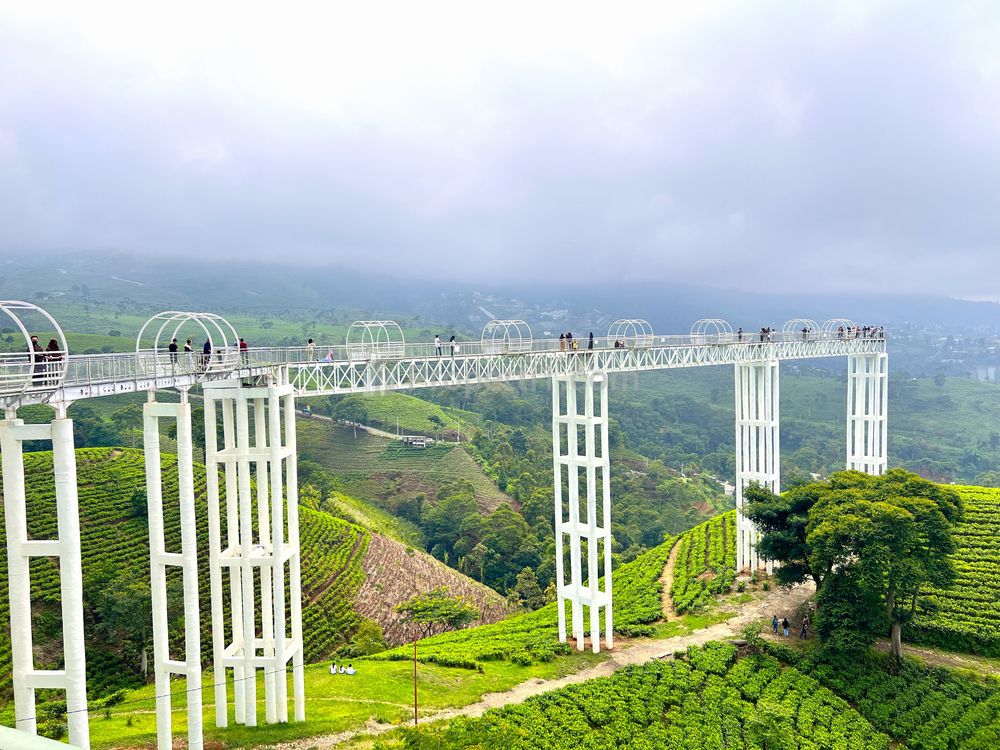 Jual Tanah Harga 160 Juta View Jembatan Kaca Kemuning Karanganyar Jawa Tengah