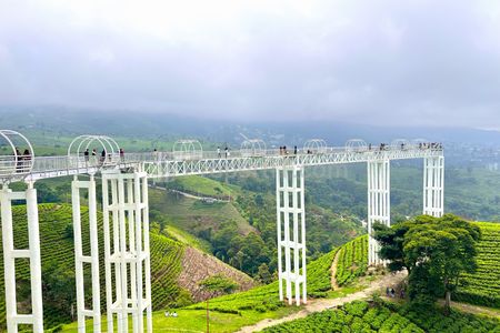Jual Tanah Harga 160 Juta View Jembatan Kaca Kemuning Karanganyar Jawa Tengah