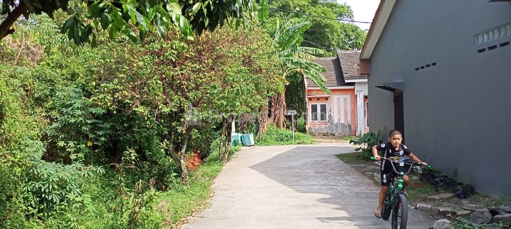 Jual Murah di Bawah NJOP Lahan Cluster Depok 900 ribu/m2 Luas 1,36 Hektar di Pasir Putih Bedahan Sawangan Depok