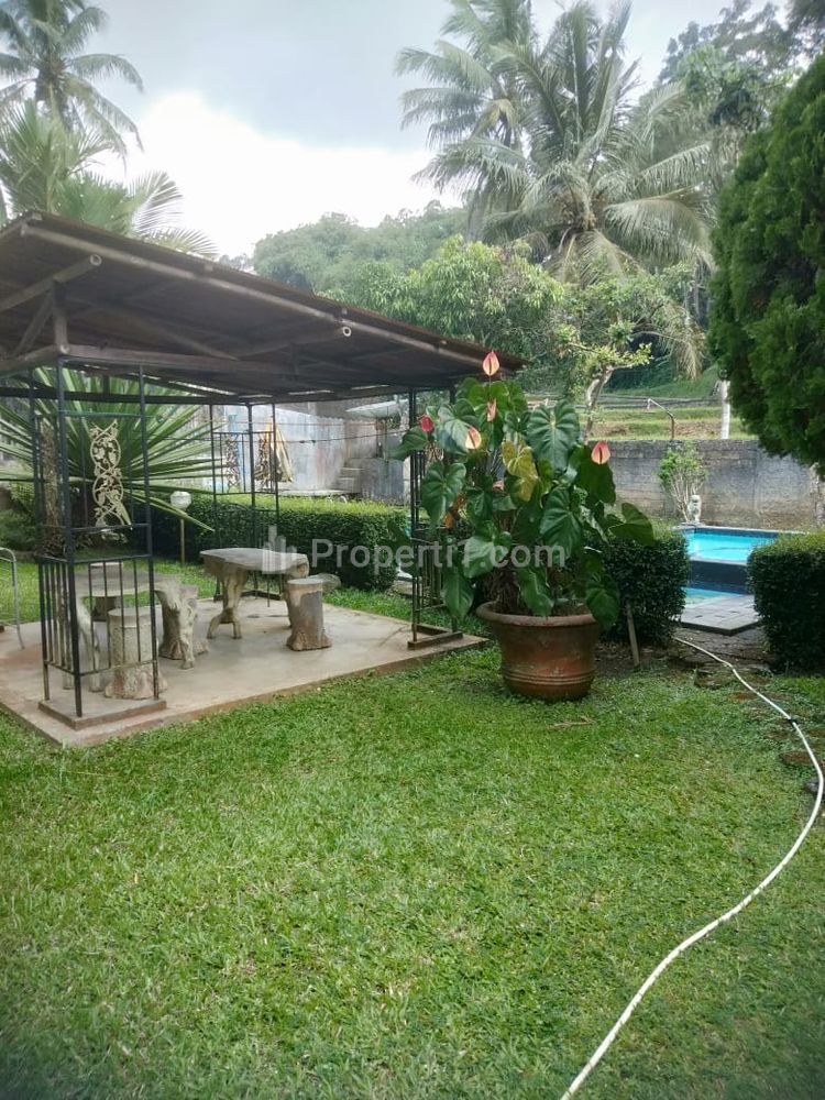 Jual Villa Ada Kolam Renang dan Pemancingan di Kp. Cijeruk Dusun III Desa Sukamanah Mega Mendung Bogor - Cocok untuk Keluarga Besar