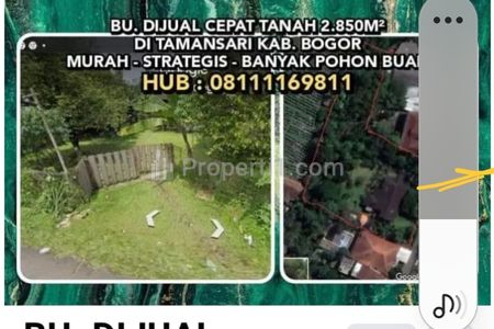 Jual Cepat Murah BU Tanah Kebun di Tamansari Bogor, Banyak Pohon Buah, Ada Rumah Model Villa