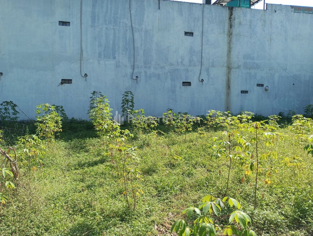 Bentuk tanah kotak
