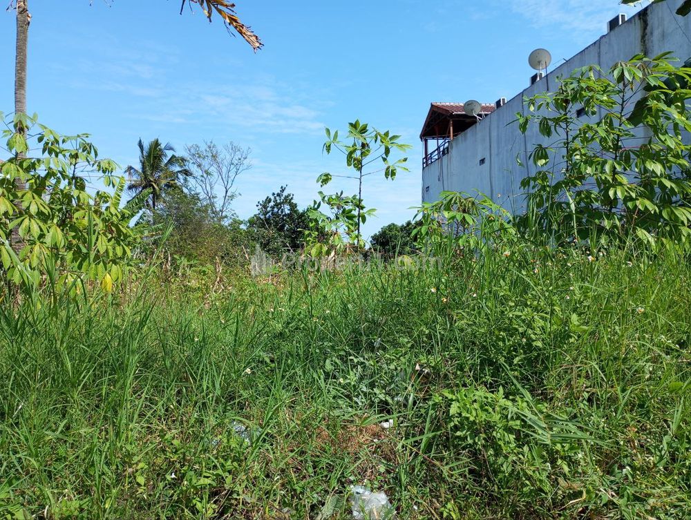 Tanah padat siap bangun