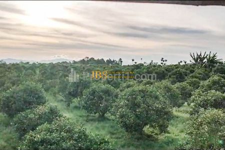Dijual Tanah Desa Sindoro Barisan Nauli Kec. Sumbul, Dairi, Sidikalang