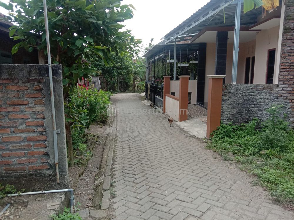 Dijual Tanah di Blancir Pucanggading Pedurungan Semarang - Cocok untuk Investasi atau Hunian