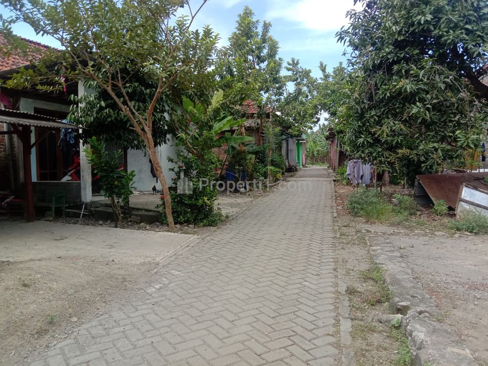 Dijual Tanah di Blancir Pucanggading Pedurungan Semarang - Cocok untuk Investasi atau Hunian