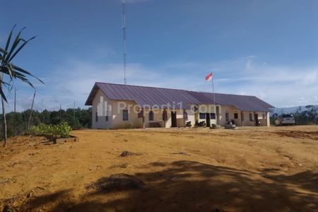 Dijual Kebun Sawit di Sambas, Kalimantan Barat - Kebun Sawit Produksi, Lokasi Aman