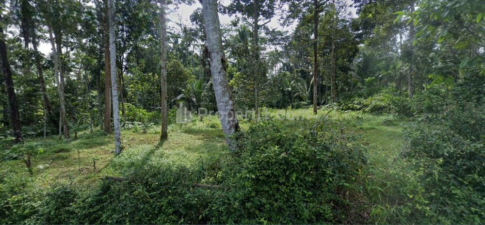 Dijual Tanah Murah 753 m2 di Kecandran, Sidomukti, Salatiga