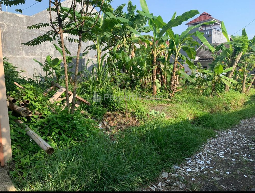 Jual Tanah 110 m2 di Ciomas Bogor Jawa Barat