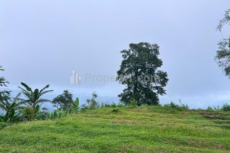 Dijual Tanah Datar View Kebun Teh Kemuning Karanganyar