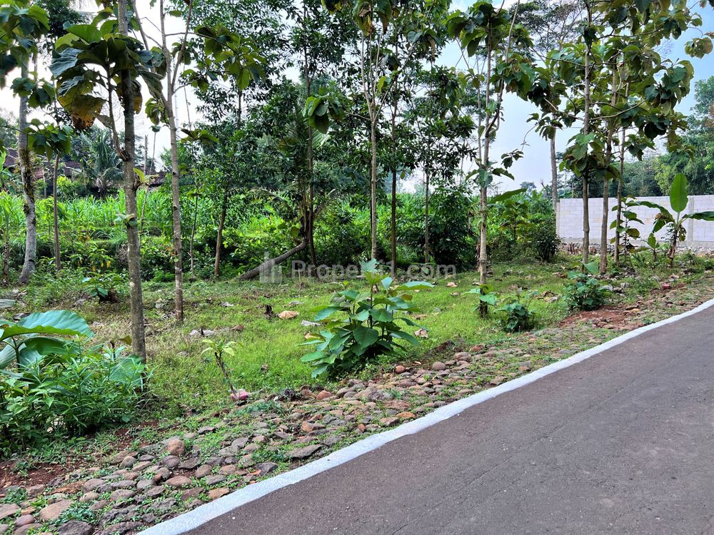 Dijual Tanah Datar Strategis Hanya 65 Juta Kerjo, Karanganyar, Solo, Jawa Tengah