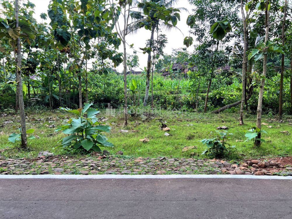 Dijual Tanah Datar Strategis Hanya 65 Juta Kerjo, Karanganyar, Solo, Jawa Tengah