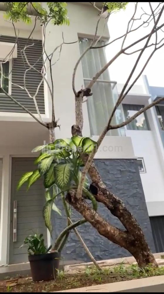 Jual Sampai Deal Mahogany Residence Cibubur Minimalis Modern 2 Lantai, Hommy, Siap Huni