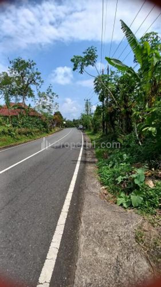Dijual Tanah Bagus di Busung Biu Buleleng Bali - Cocok untuk Ruko, Pinggir Jalan Raya