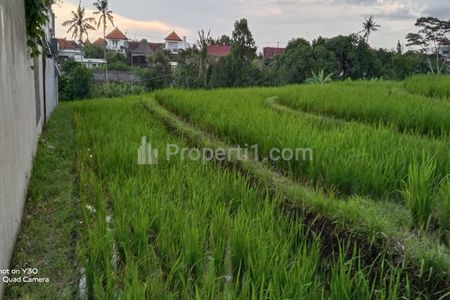 Jual Tanah Jarang Ada di Central Canggu, Badung, Bali - Lokasi di Pinggir Jalan, Tidak Masuk Gang,View Sawah