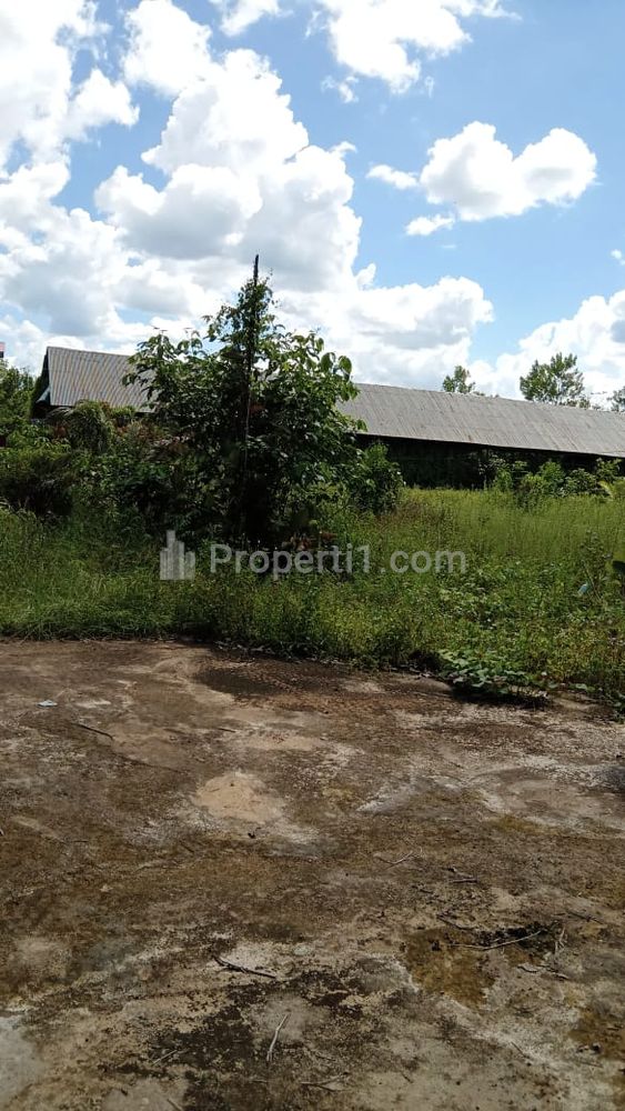 Dijual Tanah di Lokasi Jalan Trans Kalimantan Sungai Ambawang Lingga Kilometer 32 - Kubu Raya, Tanah Daratan Tinggi, Padat, Lokasi Bebas Banjir
