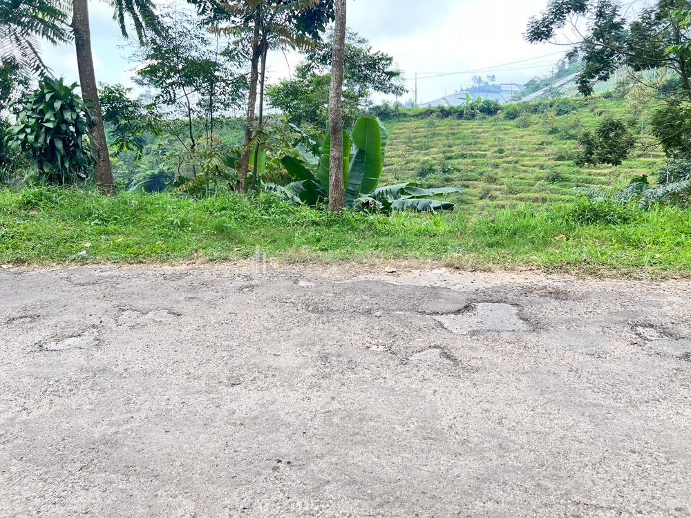 Dijual Tanah 1534m² dekat Candi Cetho Karanganyar