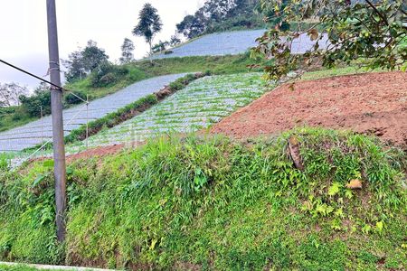 Dijual Tanah View Tanpa Terhalang Dekat Candi Cetho Karanganyar, Jawa Tengah