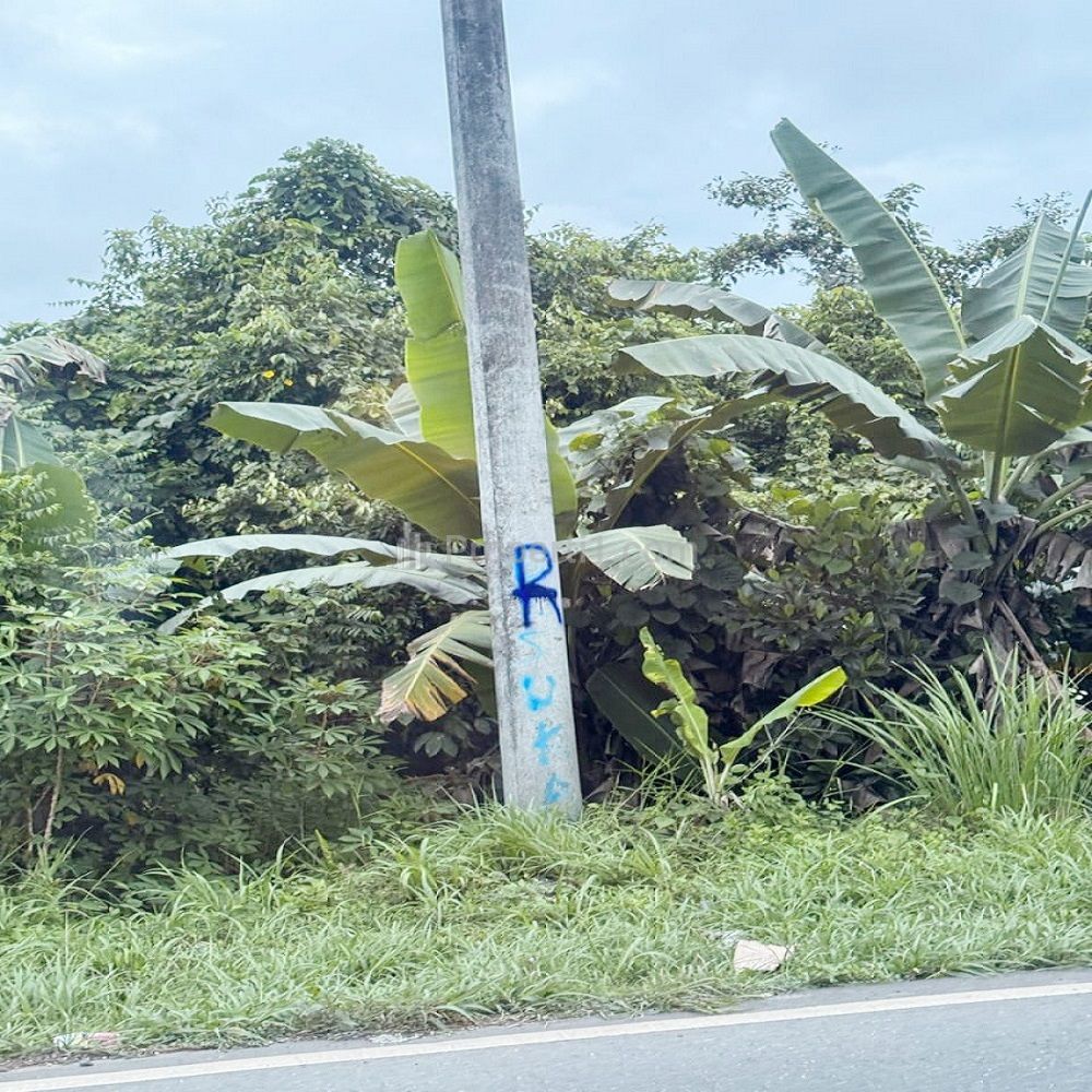 Dijual Tanah 2.905 m2 di Murung Pudak Tabalong Pinggir Jalan Raya Utama Trans Kalimantan Dekat Danau Tanjung Puri Indah, Air Terjun Tanjung Puri Indah