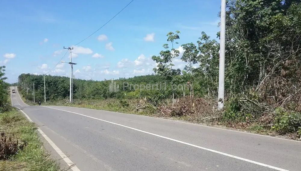Dijual Tanah 2.905 m2 di Murung Pudak Tabalong Pinggir Jalan Raya Utama Trans Kalimantan Dekat Danau Tanjung Puri Indah, Air Terjun Tanjung Puri Indah