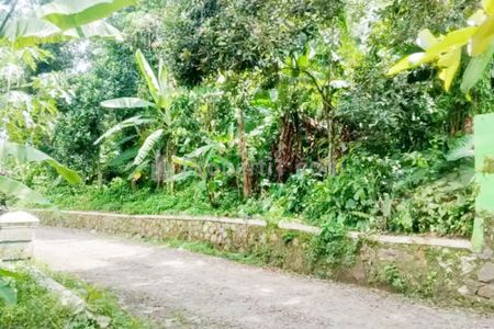 Jual Tanah 3.270 m2 di Karoncong Pandeglang Banten di Sebelah Kantor Desa Setrajaya, Dekat SMAN 1 Pandeglang, Pasar Badak, Alun-Alun Pandeglang
