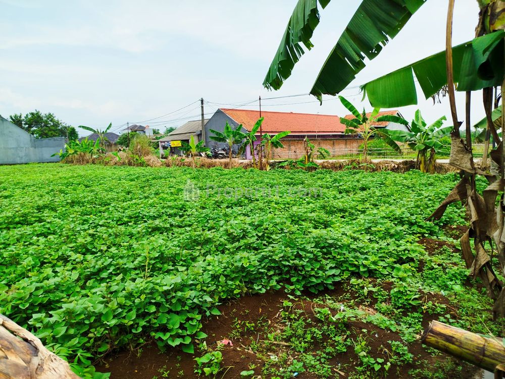 Jual Tanah Strategis 1800m2 Pinggir Jalan Raya Sinarsari Bogor