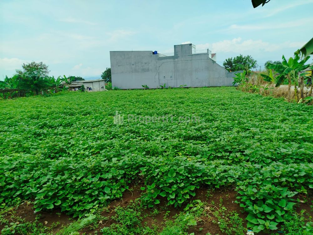 Jual Tanah Strategis 1800m2 Pinggir Jalan Raya Sinarsari Bogor